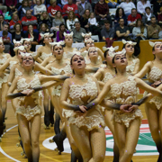 EQUIP B. Grup de xou gran - L'ovella negra de la família